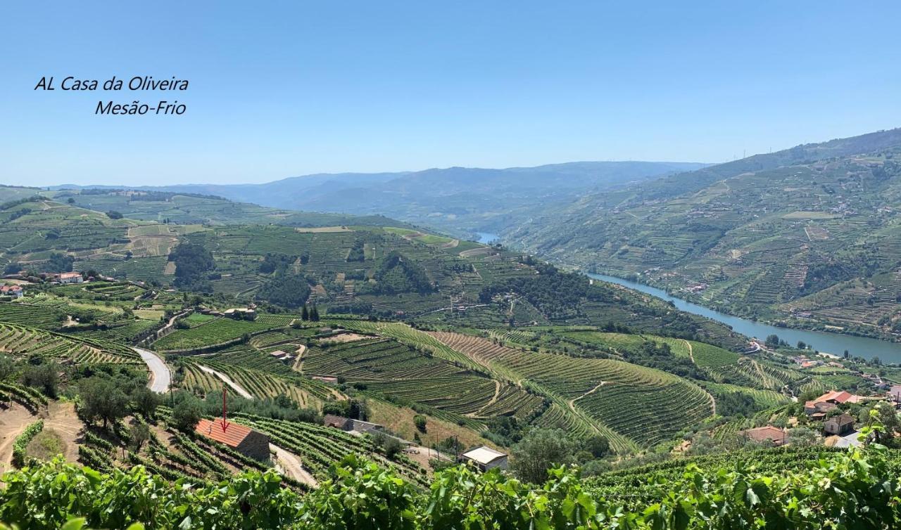 فيلا Casa Da Oliveira Mesão Frio المظهر الخارجي الصورة