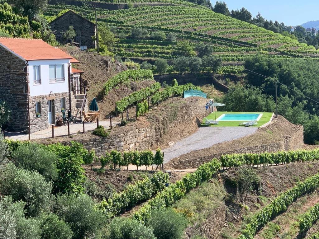 فيلا Casa Da Oliveira Mesão Frio المظهر الخارجي الصورة