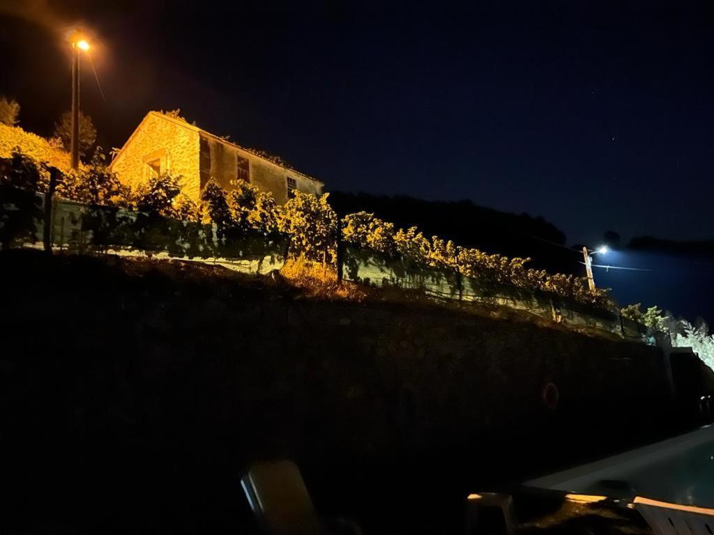 فيلا Casa Da Oliveira Mesão Frio المظهر الخارجي الصورة