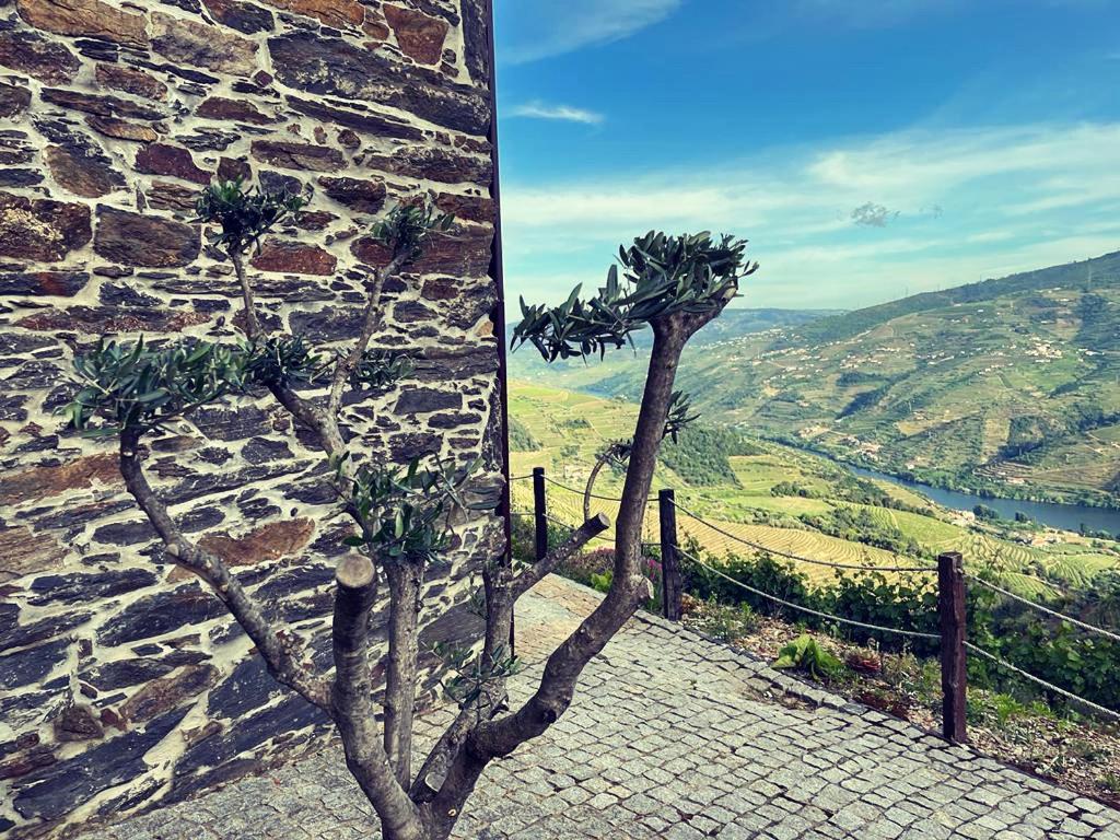 فيلا Casa Da Oliveira Mesão Frio المظهر الخارجي الصورة