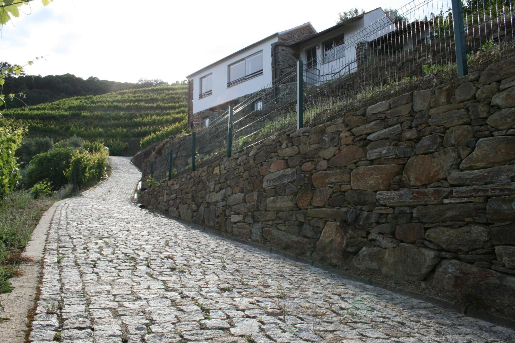 فيلا Casa Da Oliveira Mesão Frio المظهر الخارجي الصورة