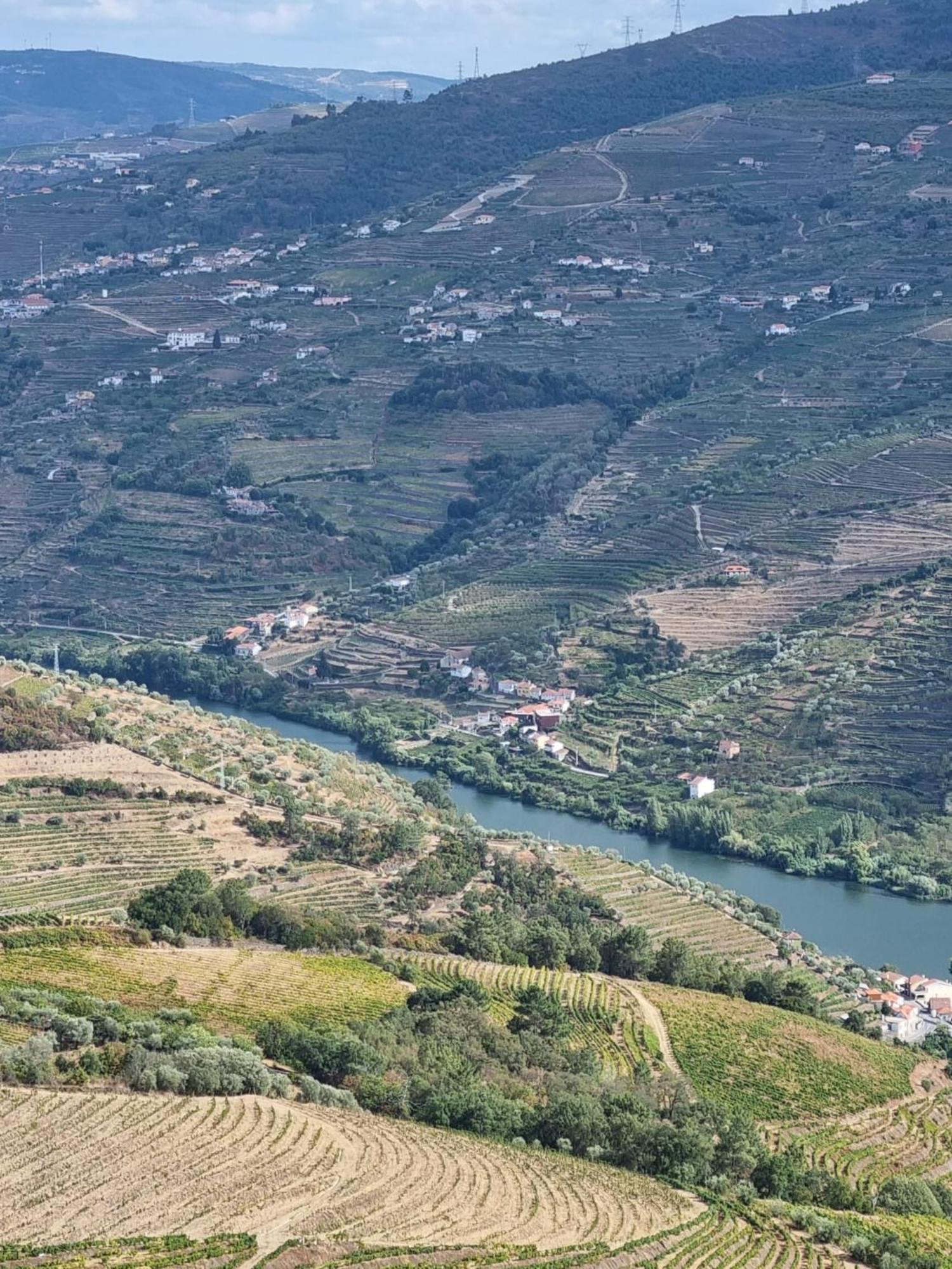 فيلا Casa Da Oliveira Mesão Frio المظهر الخارجي الصورة