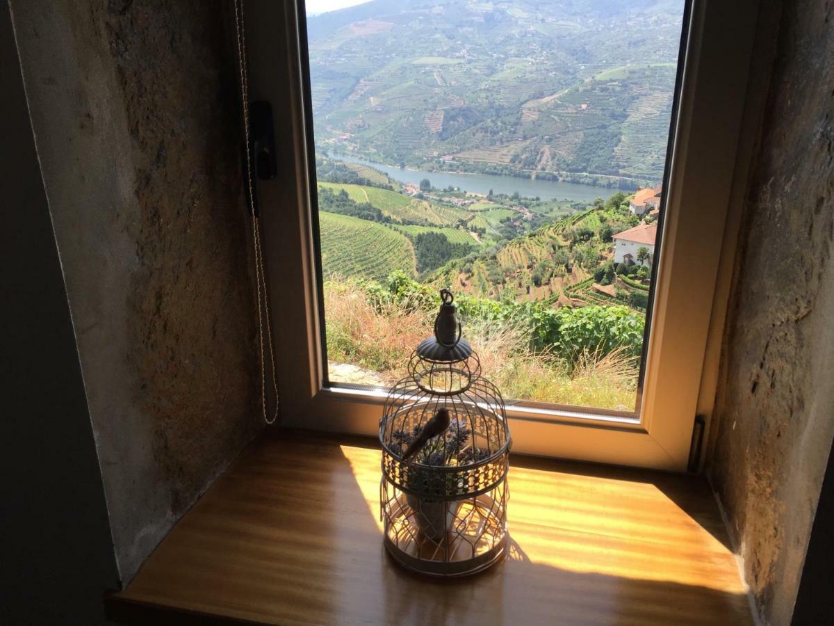 فيلا Casa Da Oliveira Mesão Frio المظهر الخارجي الصورة