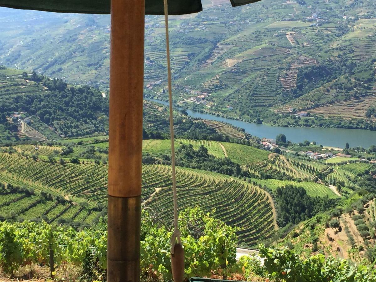 فيلا Casa Da Oliveira Mesão Frio المظهر الخارجي الصورة